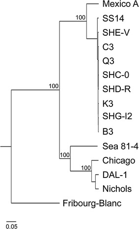 Fig. 1