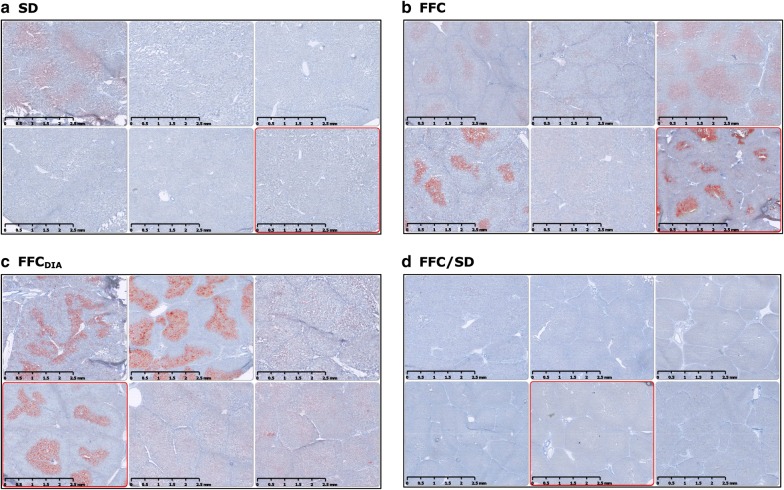 Fig. 7