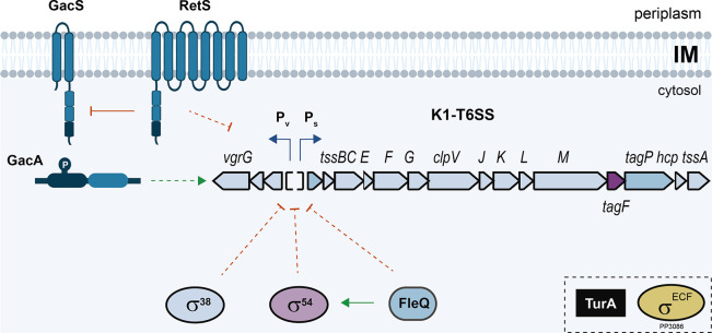 Fig. 7.