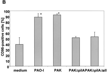 FIG.2.