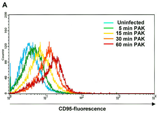 FIG.2.