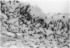 FIG. 13.