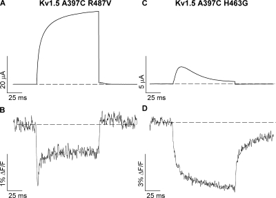 Figure 11.