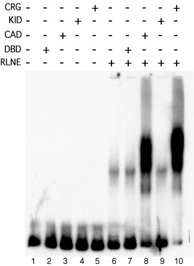 FIG. 6