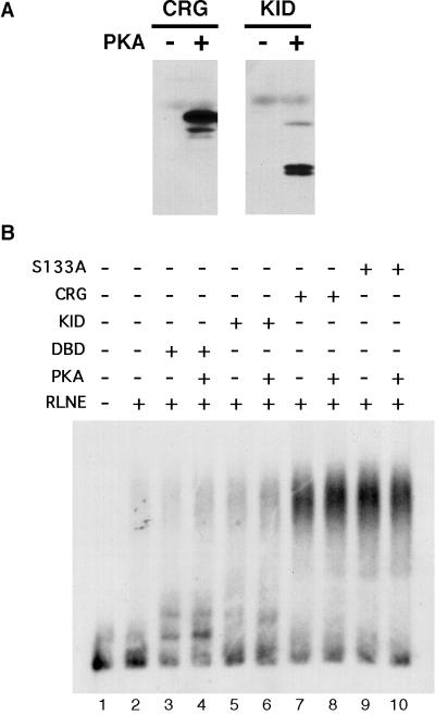 FIG. 7