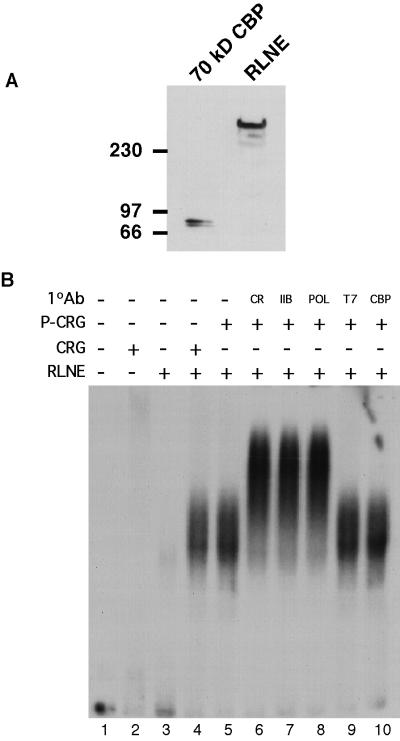 FIG. 8