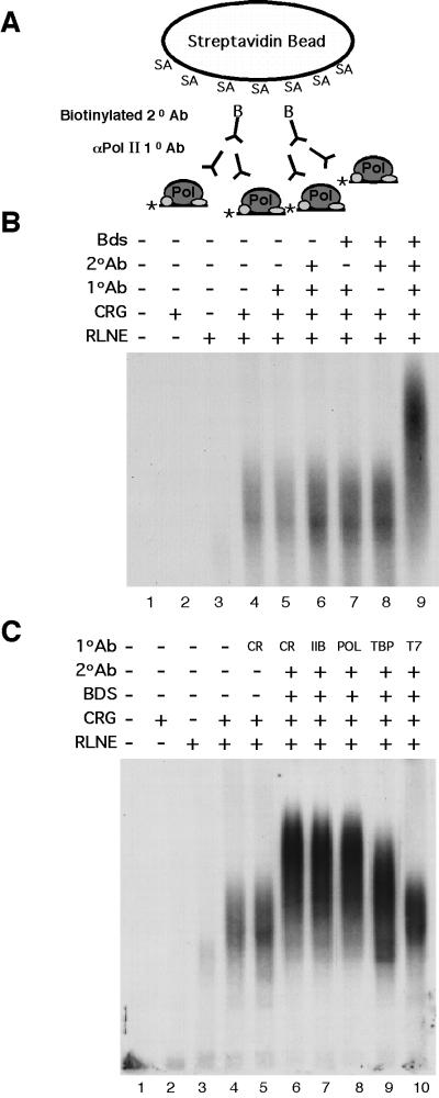 FIG. 5