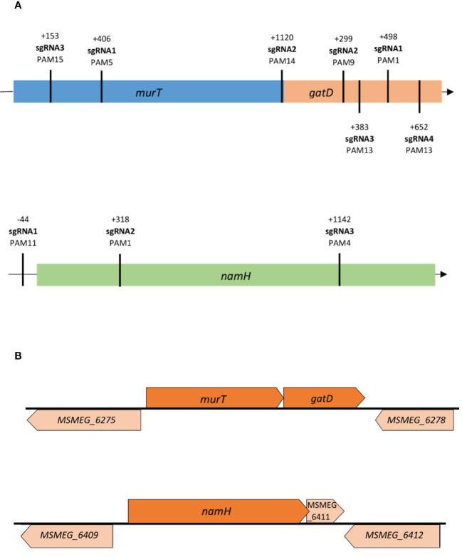 Figure 1