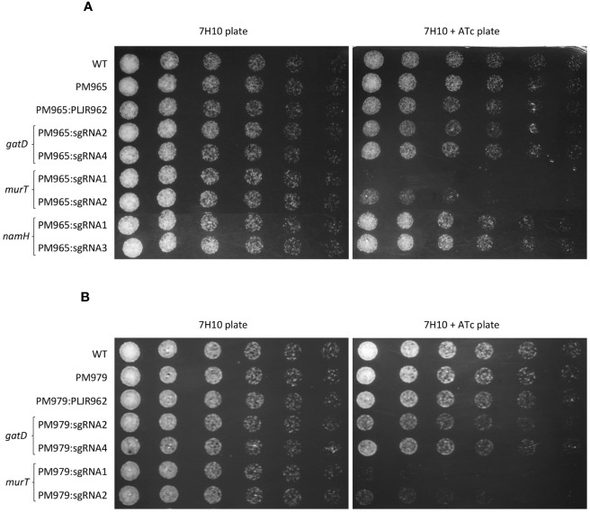 Figure 4