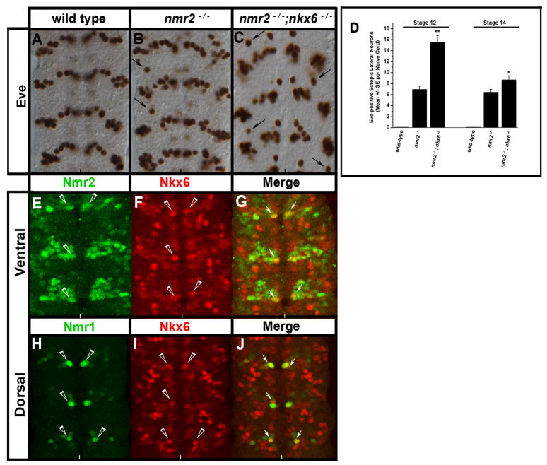 Figure 10