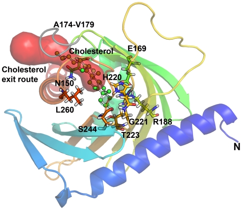 Figure 5