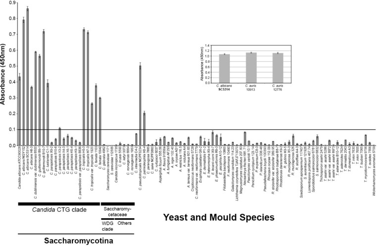 FIGURE 1