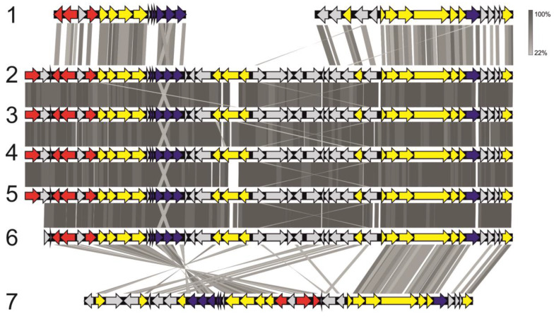 Figure 7