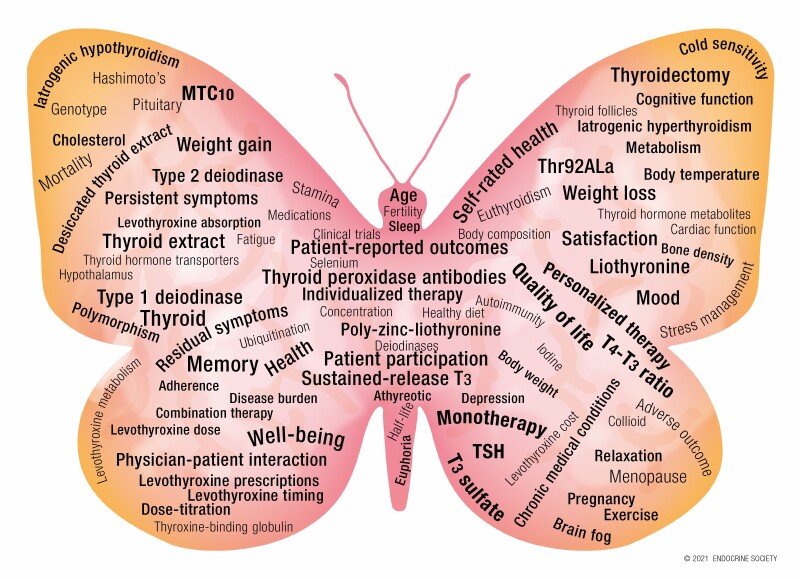 Graphical Abstract