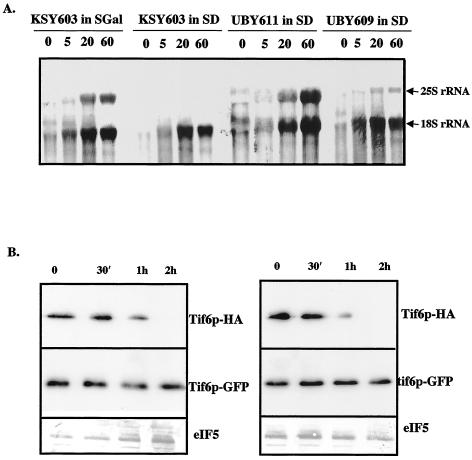 FIG. 9.