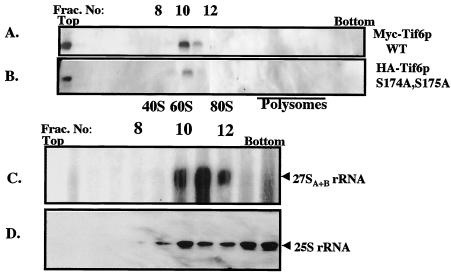 FIG. 8.