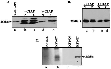 FIG. 1.