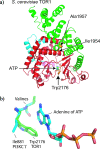Figure 5