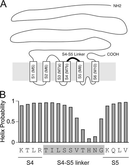 FIGURE 1.