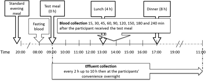 FIGURE 1 