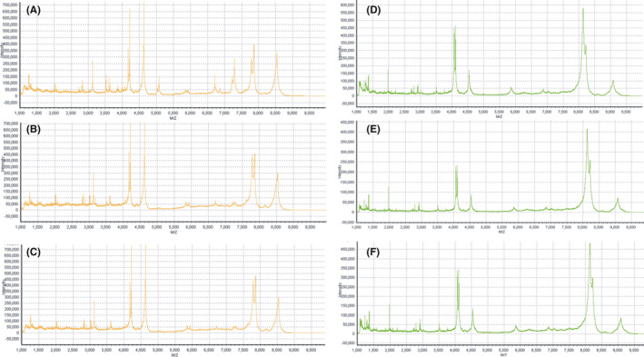 FIGURE 2