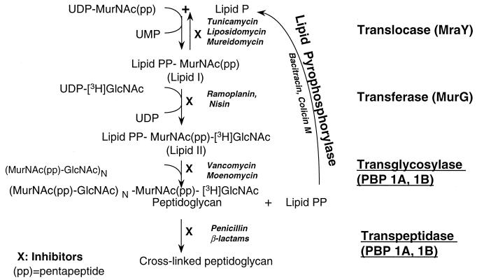 FIG. 1