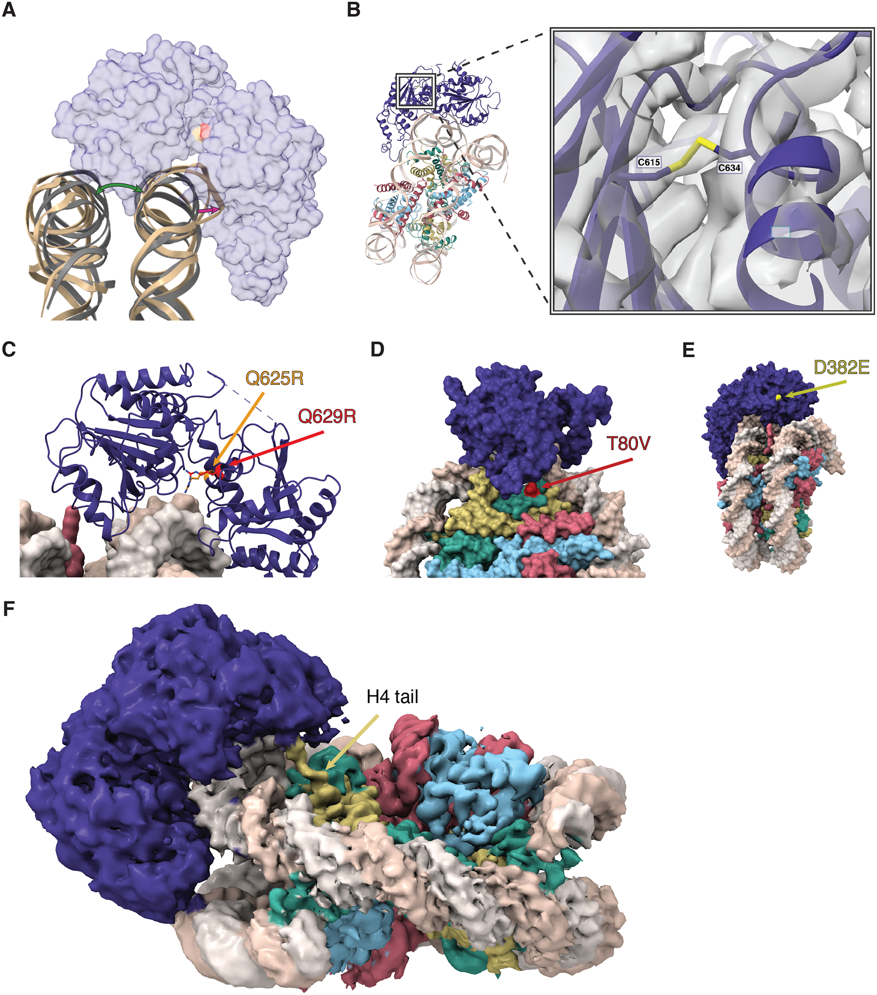 Figure 4.