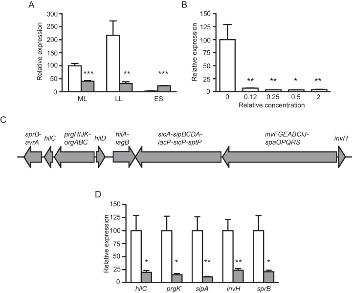 FIG 2 