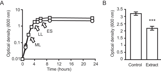 FIG 1 