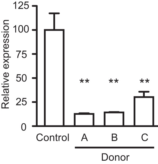 FIG 6 