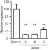 FIG 6