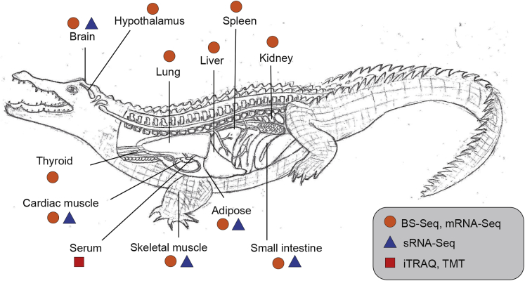 Figure 1