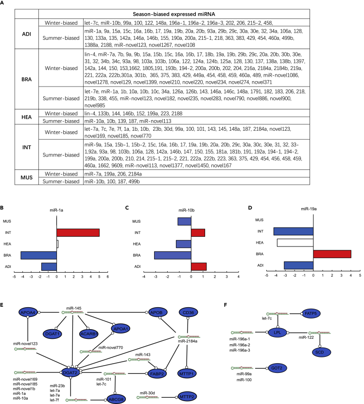 Figure 6