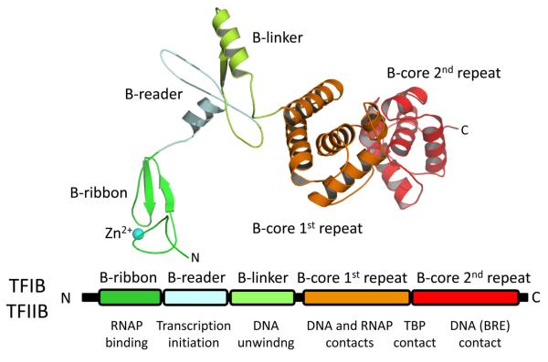 Figure 5