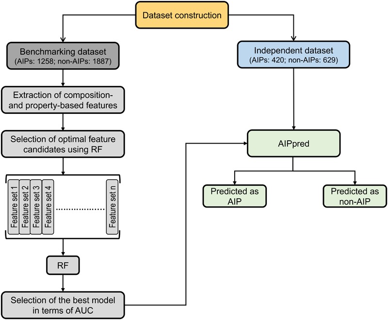 FIGURE 2