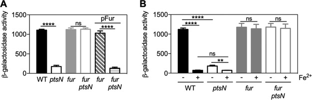 FIG 2