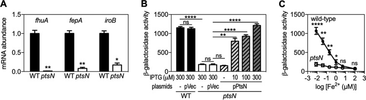 FIG 1