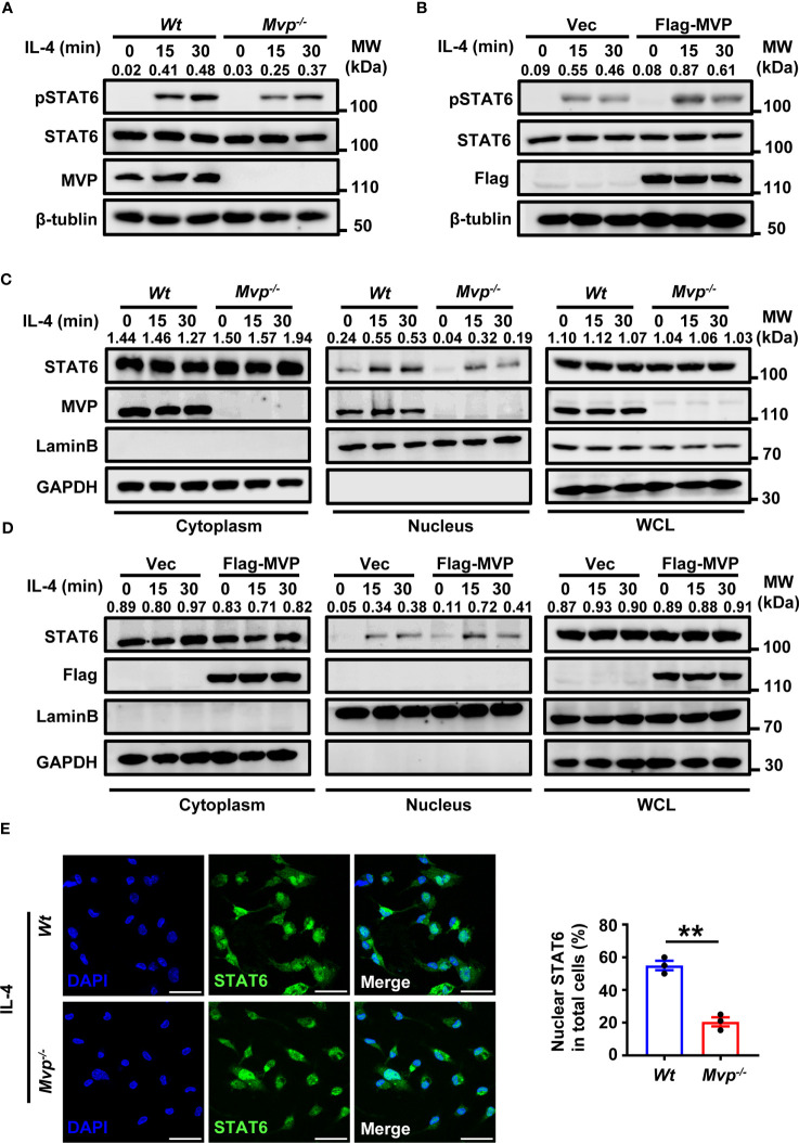 Figure 6