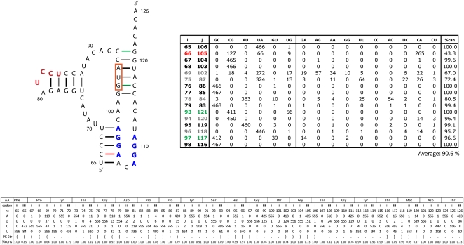 FIGURE 11.