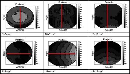 Fig. 10