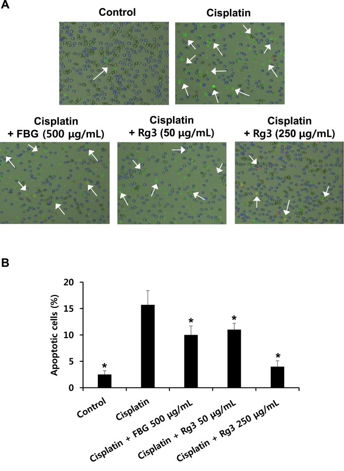 Fig. 3