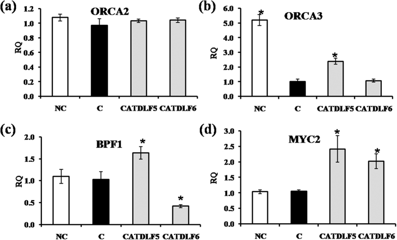 Figure 6