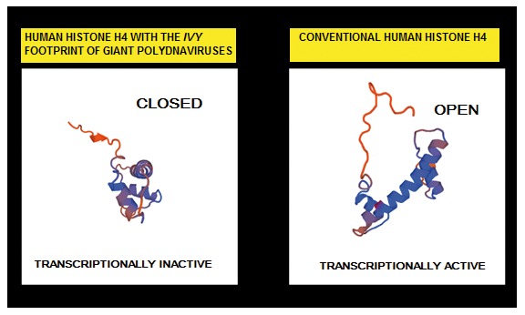 Figure 13. 