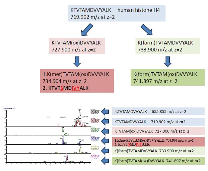 Figure 12. 