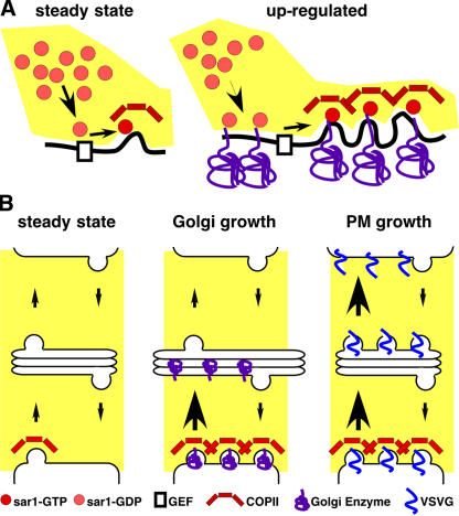 Figure 10.