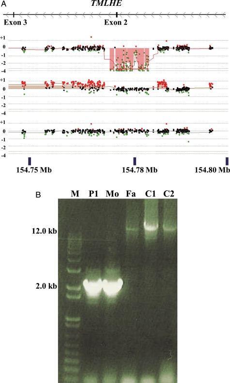 Figure 4.