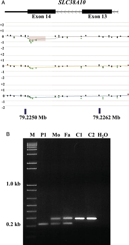 Figure 3.