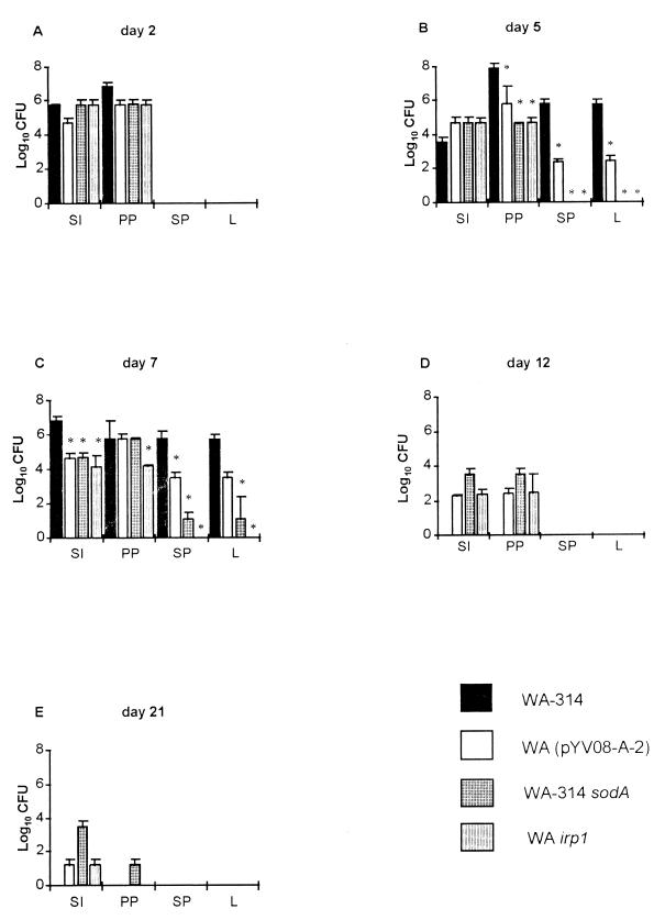 FIG. 1