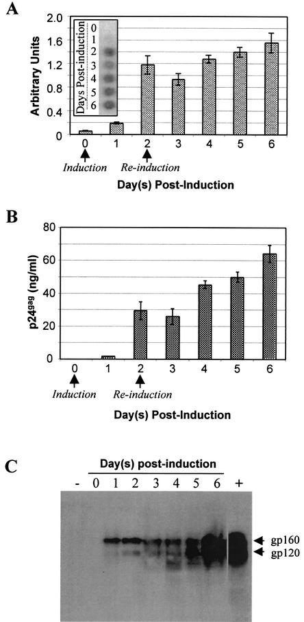 FIG. 2.