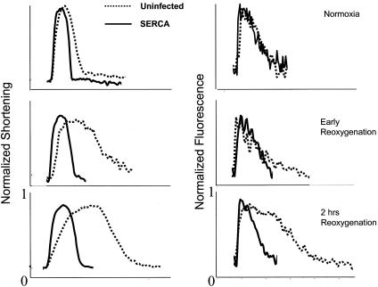 Fig. 10.